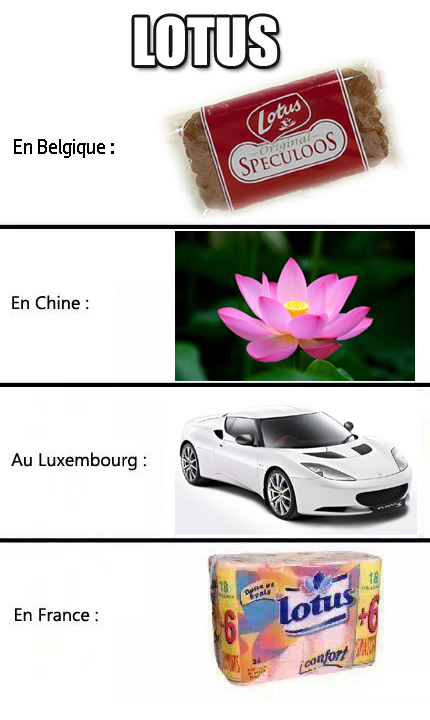 lotus-culture