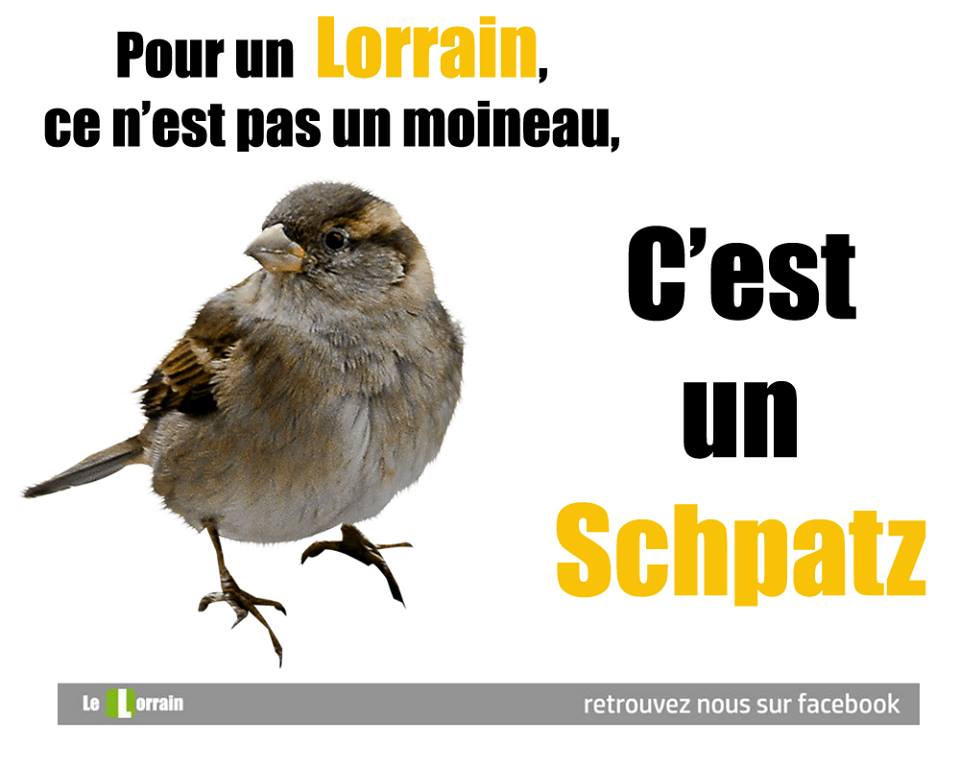 patois-lorrain-spatz