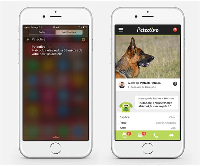 petective-application-recherche-animaux-solidaire