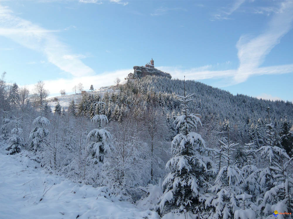 rocher-de-dabo-hiver