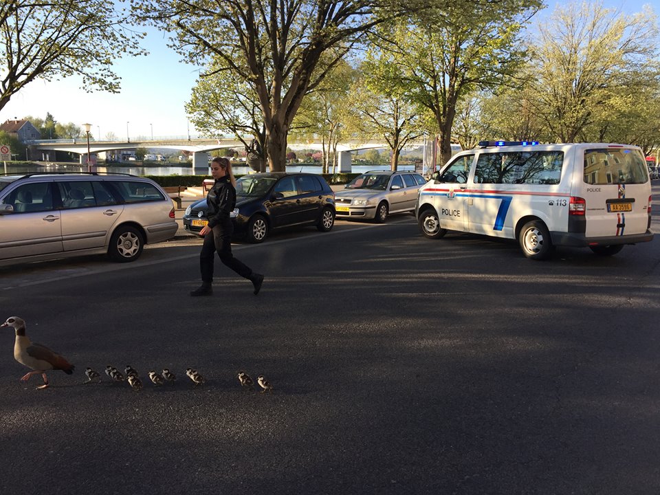 canard-lux-police-aide