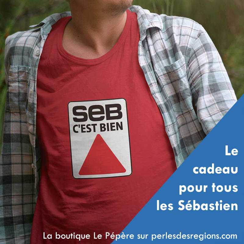 pub-seb