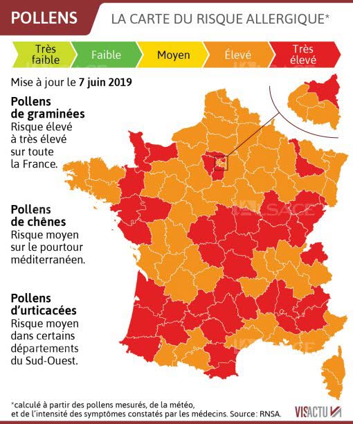 infographie-visactu-alergie-pollen