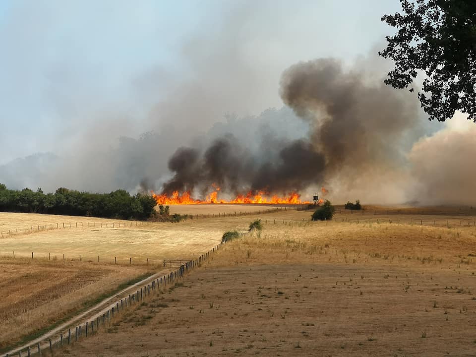 feu-champ-foret-leyr-meurthe-et-moselle-54-2019