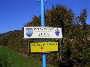 POISSON-JUMELE-AVEC-AVRIL