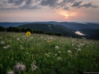 Le surnom du paradis est Hautes Vosges