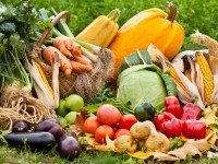 « Encourager les producteurs locaux et boycotter les supermarchés » : 65 % des français sont pour !