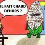 ALERTE CANICULE : Plus de 10° au dessus des normales de saison en Lorraine