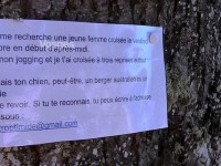 Vosges : déclaration d’amour bio !