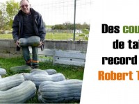 MEURTHE-ET-MOSELLE : UNE RÉCOLTE RECORD POUR CE JARDINIER LORRAIN