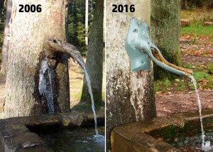 sapin-qui-pisse-vosges