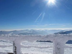 honeck-1364m