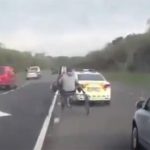 Insolite : Course poursuite entre 2 cavaliers et une voiture de police sur l’autoroute !