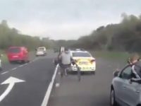 Insolite : Course poursuite entre 2 cavaliers et une voiture de police sur l’autoroute !