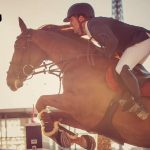 Simon Delestre et son cheval Hermès Ryan, Champions mondialement connus et Lorrains