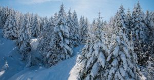 gerardmer-top-3-destination-touristique