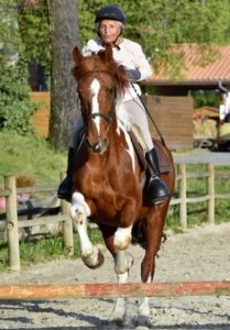 nicole-villeneuve-championne-hippique-89-ans