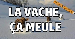 alerte-orange-neige-verglas-lorraine