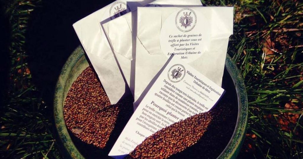 Metz-offre-des-graines-de-trefle