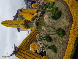 fete-des-jonquilles-2019-gerardmer-vosges-jardin