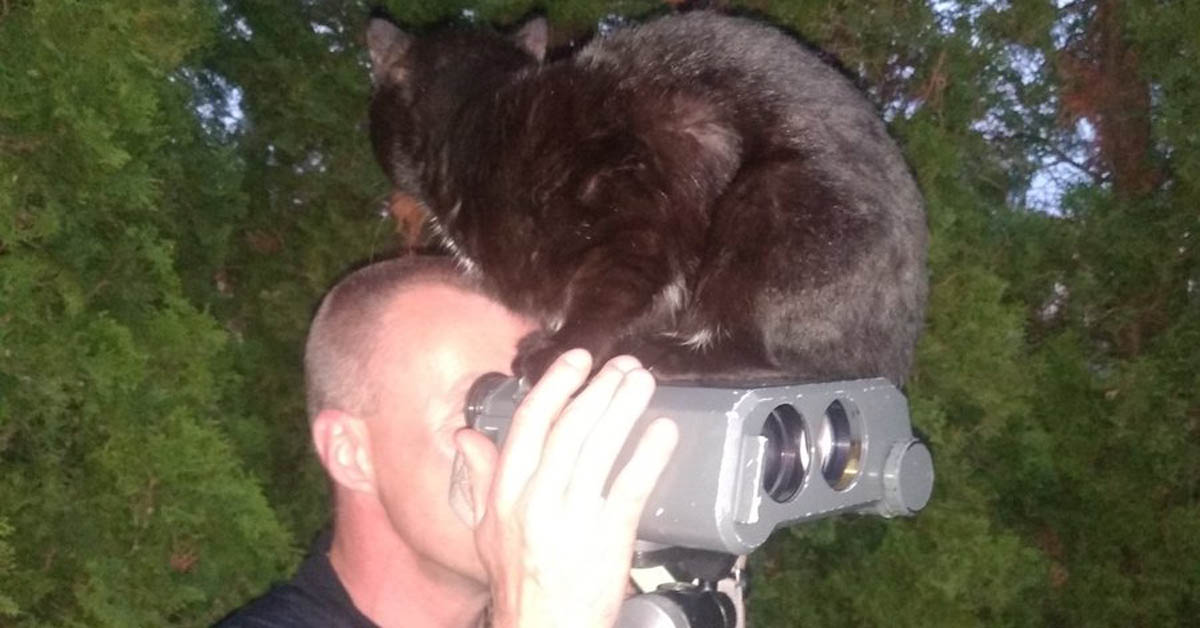 chat-aide-gendarme-jumelle-vosges