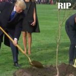 Le chêne offert par Macron à la Maison-Blanche est mort