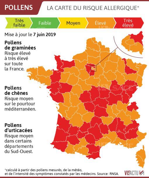 infographie-visactu-alergie-pollen