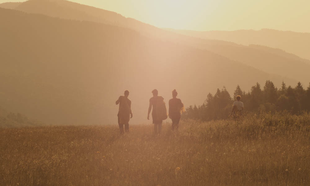 cueillette-arnica-vosges-2019-gerardmer-tourisme