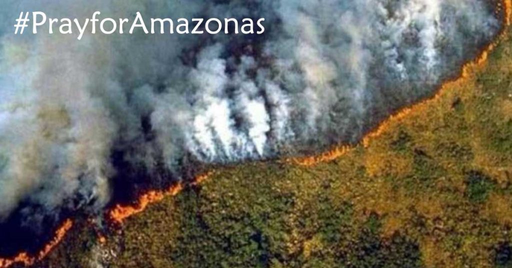 amazonie-en-feu-2019