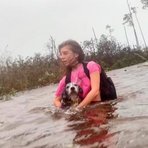 Julia-Aylen-sauve-2-chiens-ouragan-bahamas-dorian-2019