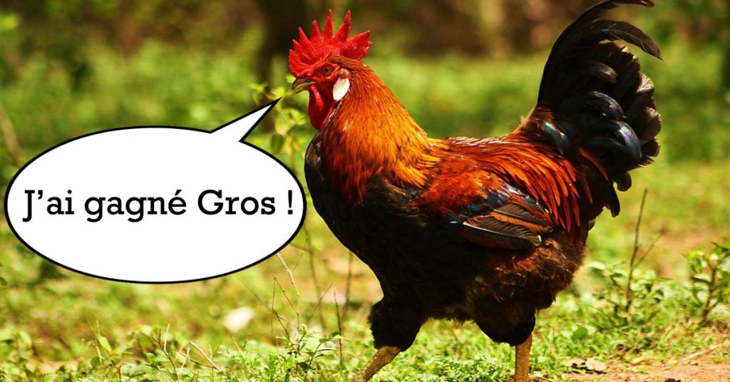 coq-maurice-gagne