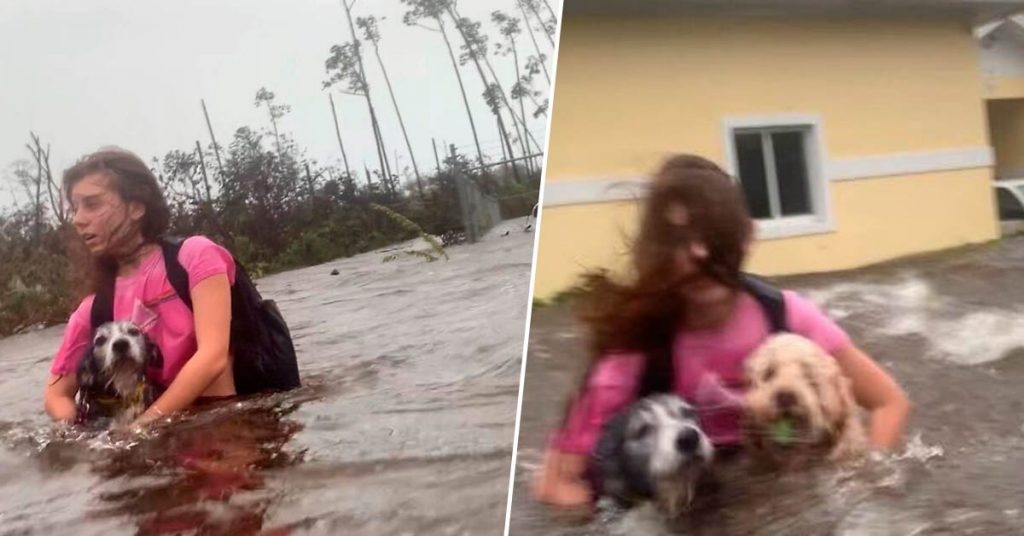 julia-sauve-chiens-ouragan-dorian-bahamas