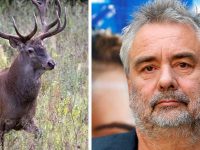 Luc Besson au tribunal car… il refuse de tuer les cerfs qui passent sur son domaine