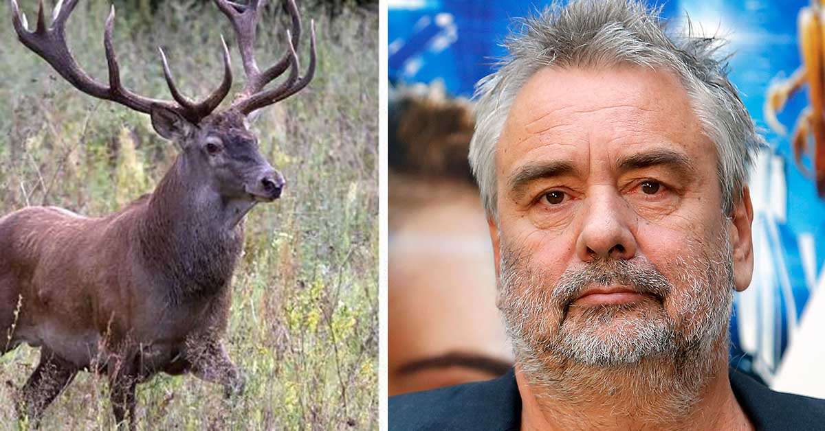luc-besson-tribunal-refuse-tuer-cerfs