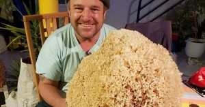 champignon-geant-21-kilos-vosges