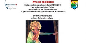 gendarmerie-des-vosges-recherche-reine-des-neiges