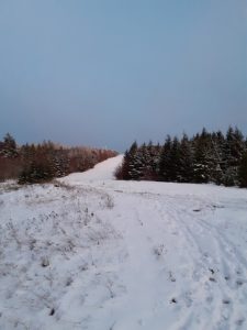 rando-vosges-ski-neige-2019-88