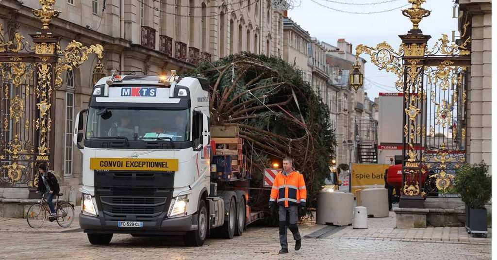 sapin-noel-arrive-nancy-7-novembre-2019