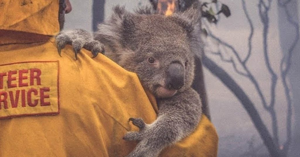 australie-appelle-reserviste-incendie