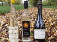 Coronavirus : l’eau de vie de mirabelle reconnue vaccin officiel par l’OMS