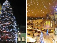 Le maire de Metz favorable au retour d’un vrai sapin de Noël en décembre