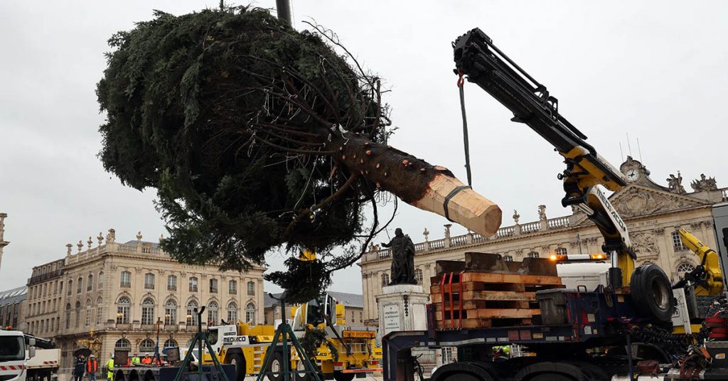 sapin-nancy-2020