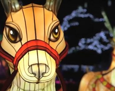 Metz : Voici le Sentier des lanternes 2020 en vidéo