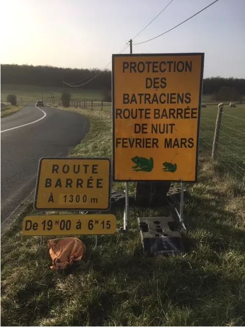 protection-migration-batraciens-moselle