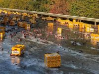 Des centaines de bouteilles de bière se brisent sur une autoroute belge