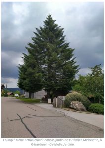 sapin-noel-gerardmer-place-stanislas-nancy
